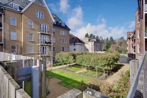 Communal Garden- click for photo gallery